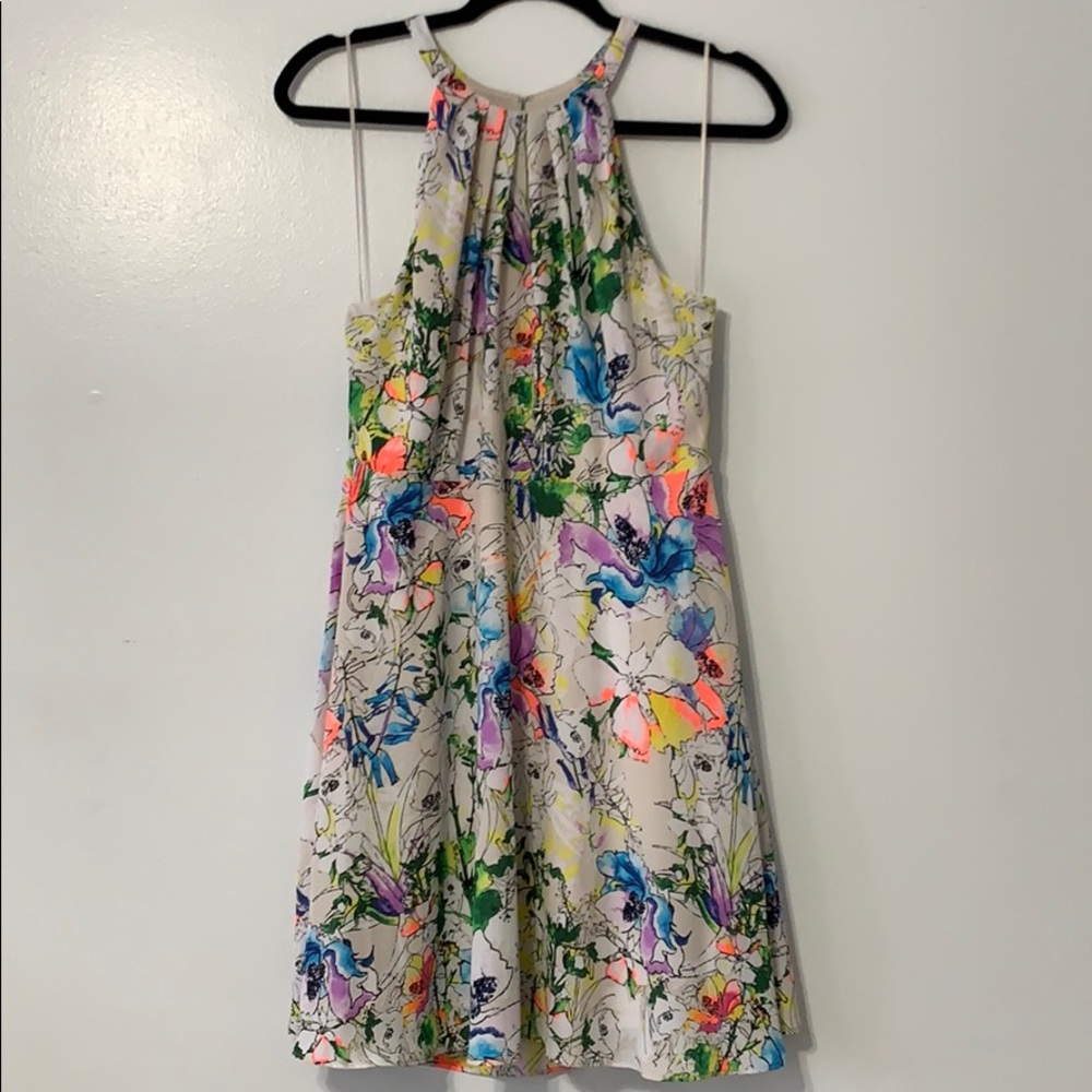 Express Floral Dress